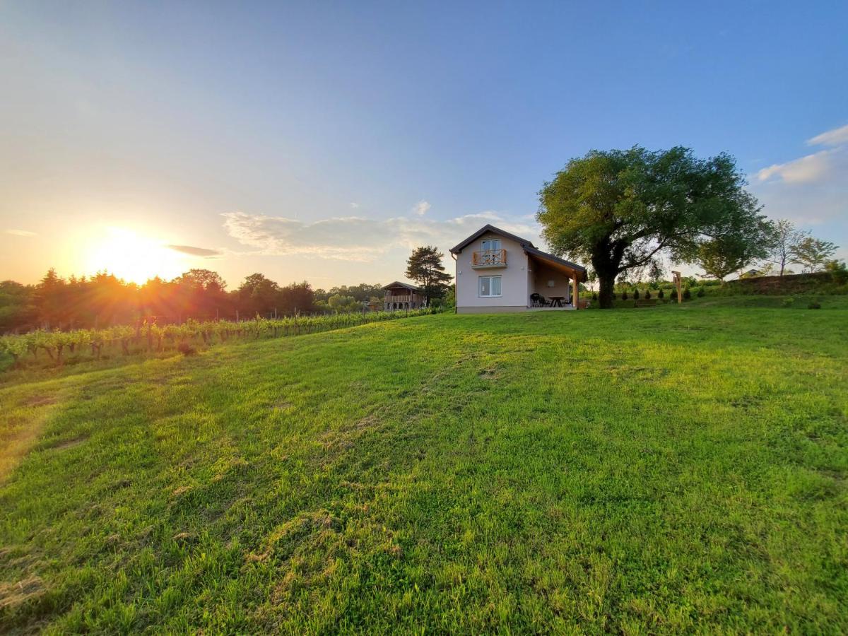 Holiday Home Vinovilla Kutjevo Buitenkant foto